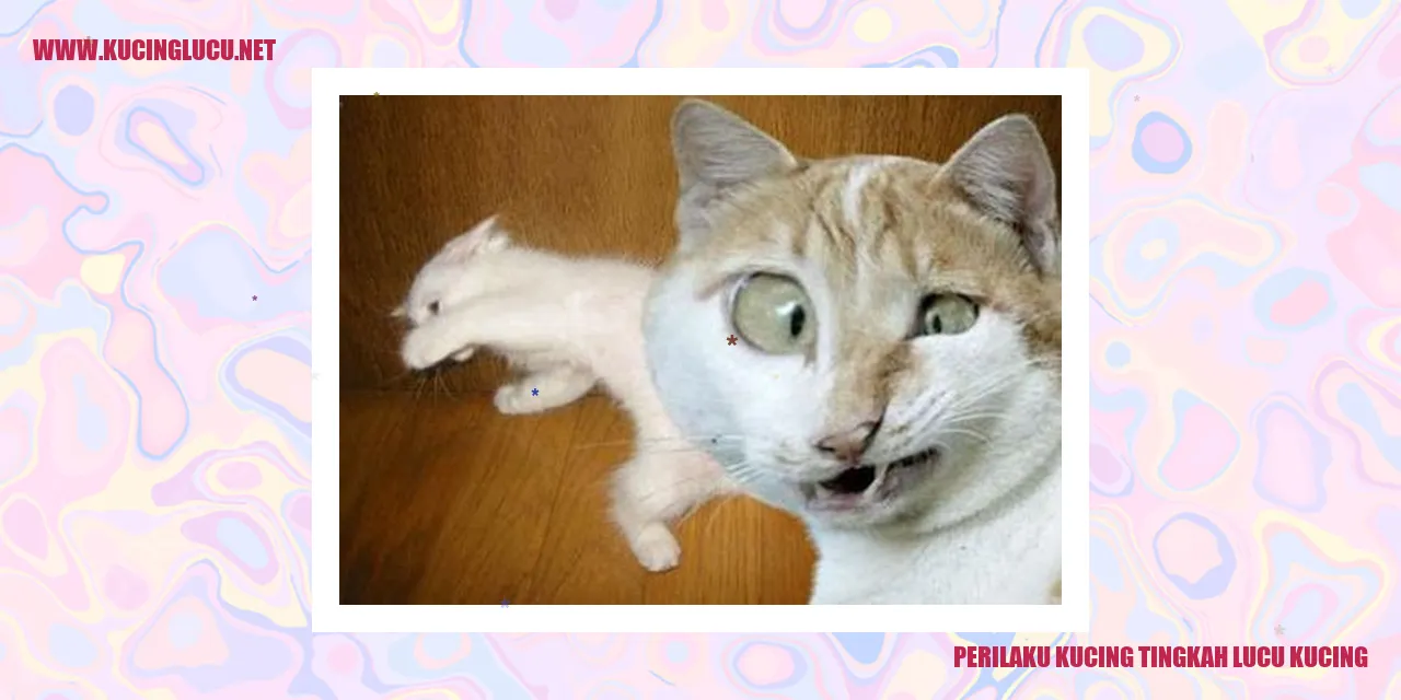 Gaya Kucing yang Menggemaskan