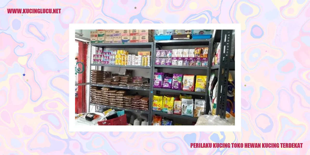 Perilaku Kucing di Toko Hewan Kucing Terdekat