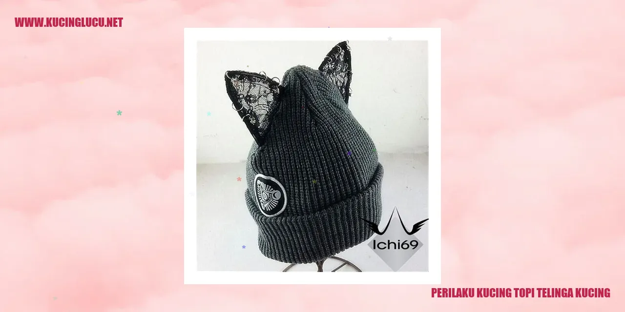 Kucing Topi Telinga Kucing