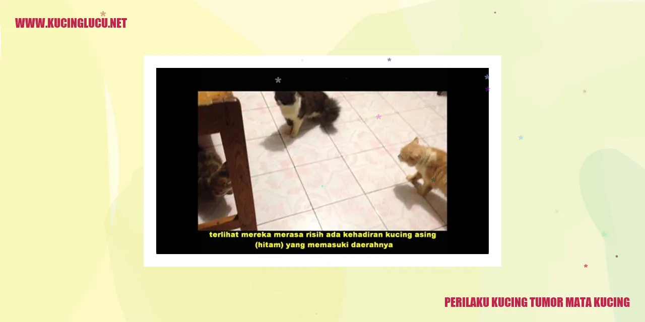 Perilaku Kucing dengan Tumor Mata Kucing