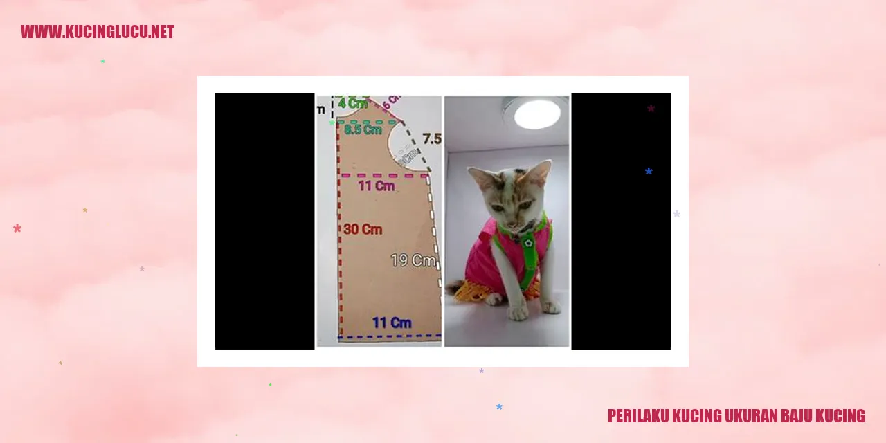 Perilaku Kucing ukuran baju kucing