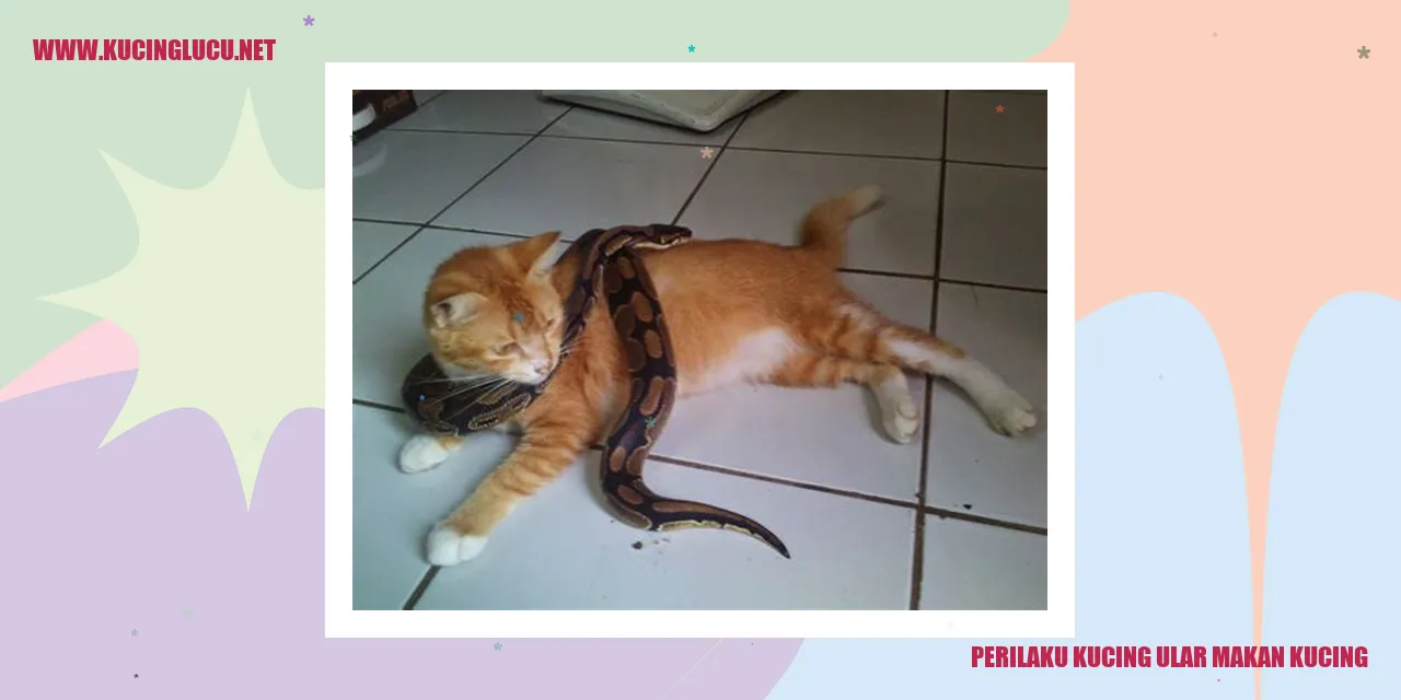Perilaku Kucing Ular yang Makan Kucing