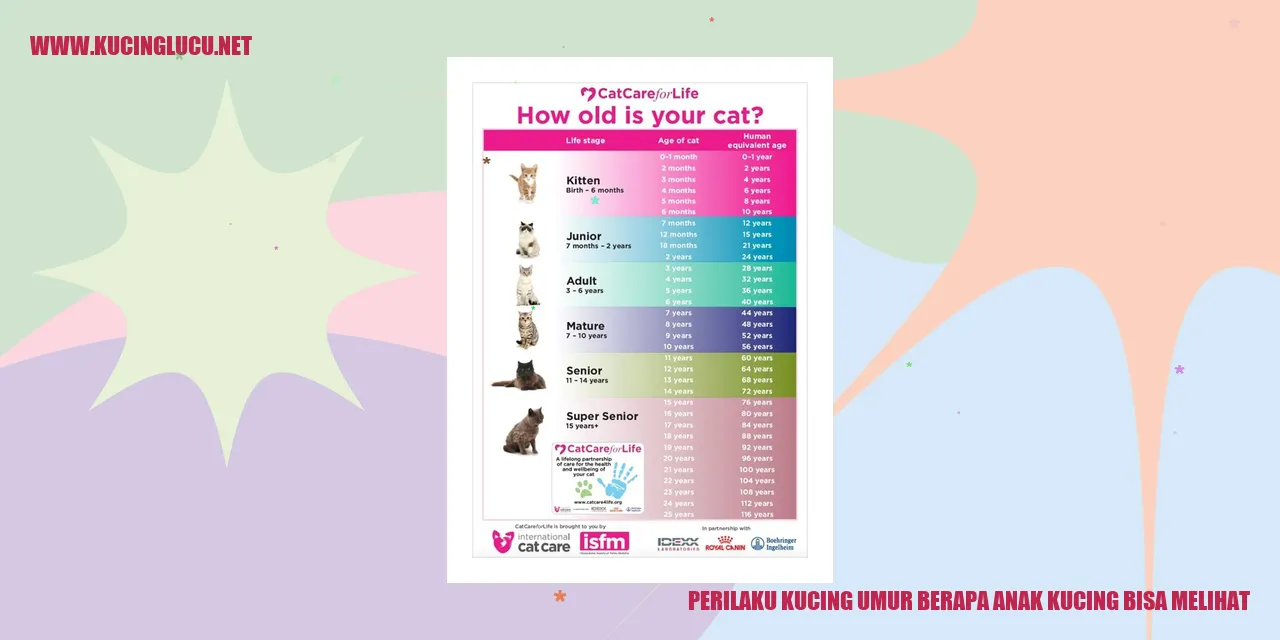 Perilaku Kucing umur berapa anak kucing bisa melihat