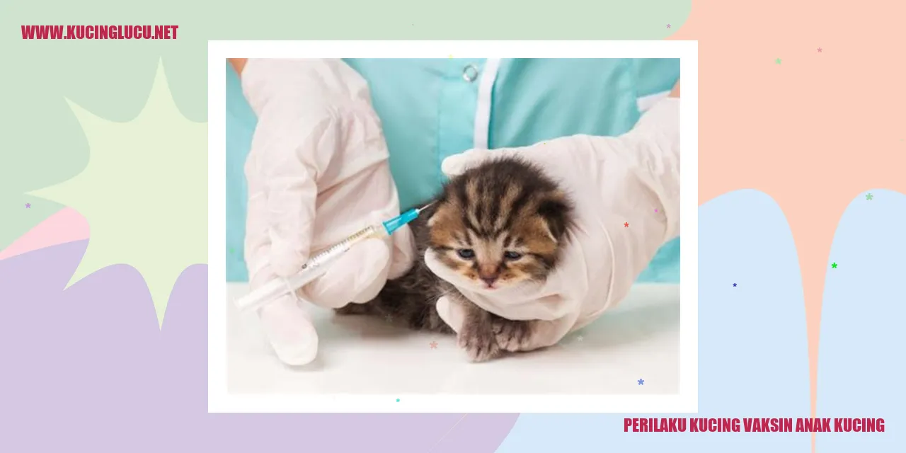 Perilaku Kucing saat Divaksinasi Anak Kucing