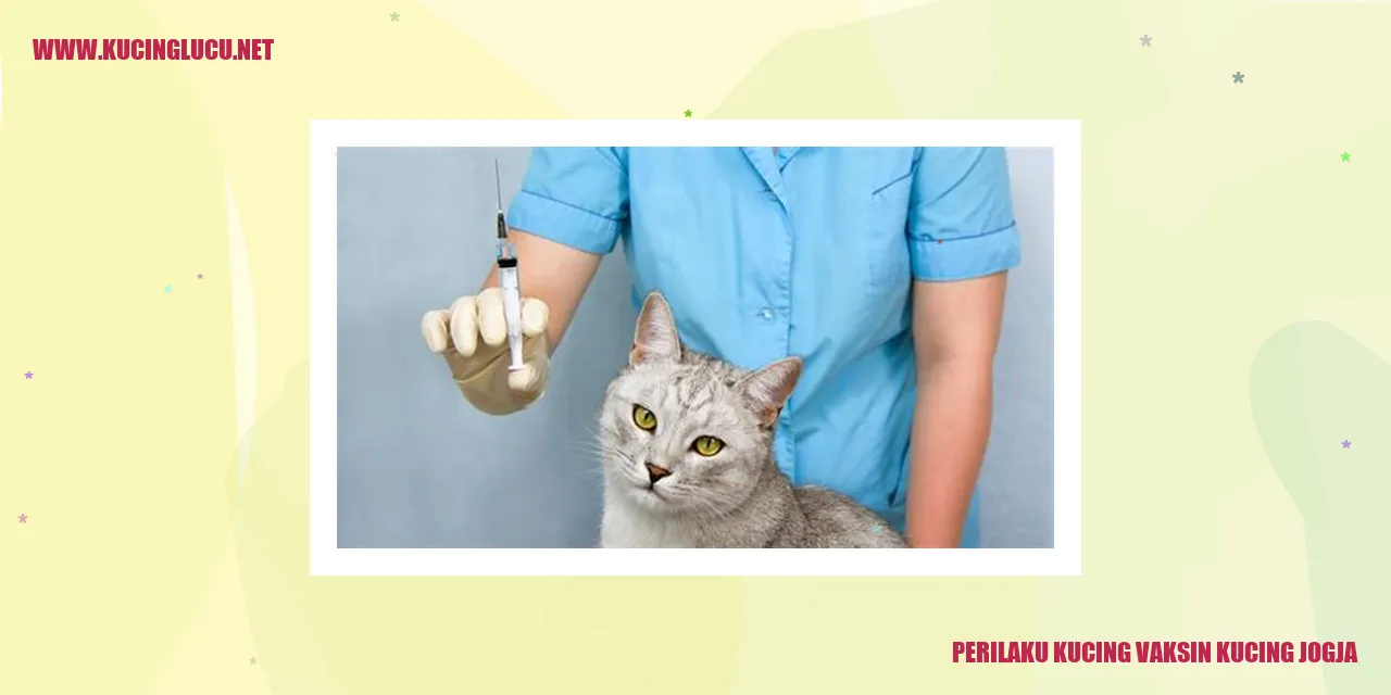 Gambar Kucing