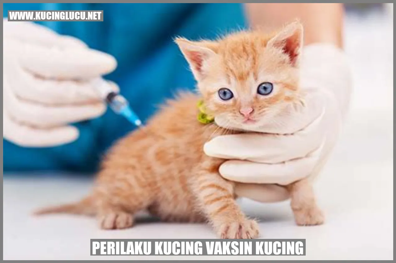 Perilaku Kucing vaksin kucing