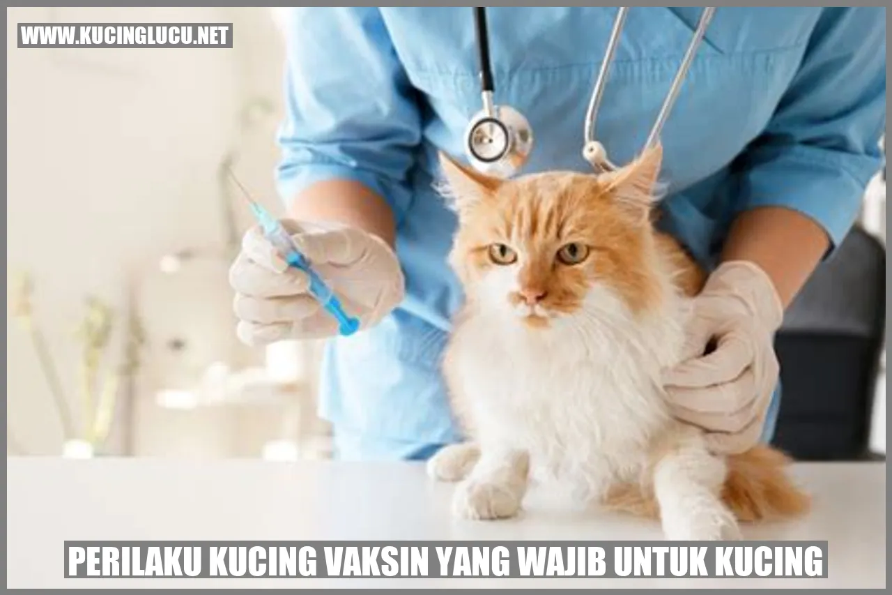Perilaku kucing vaksin