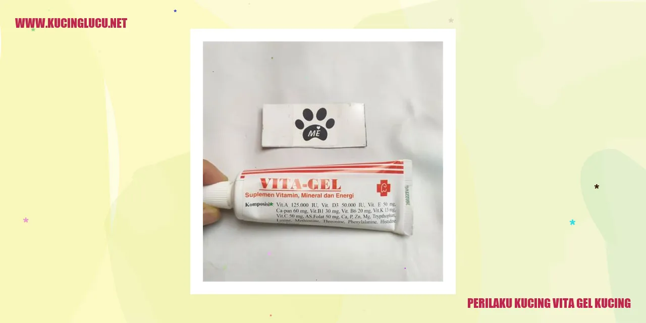 Perilaku Kucing Vita Gel Kucing