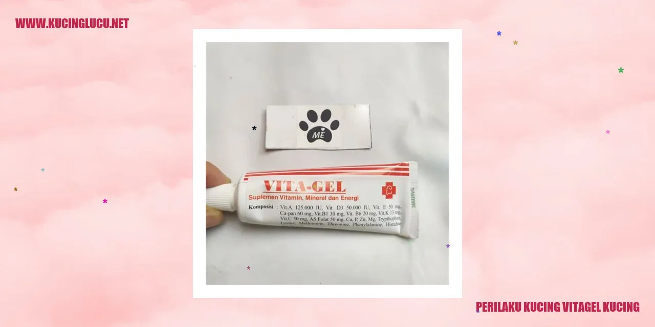 Perilaku Kucing Vitagel