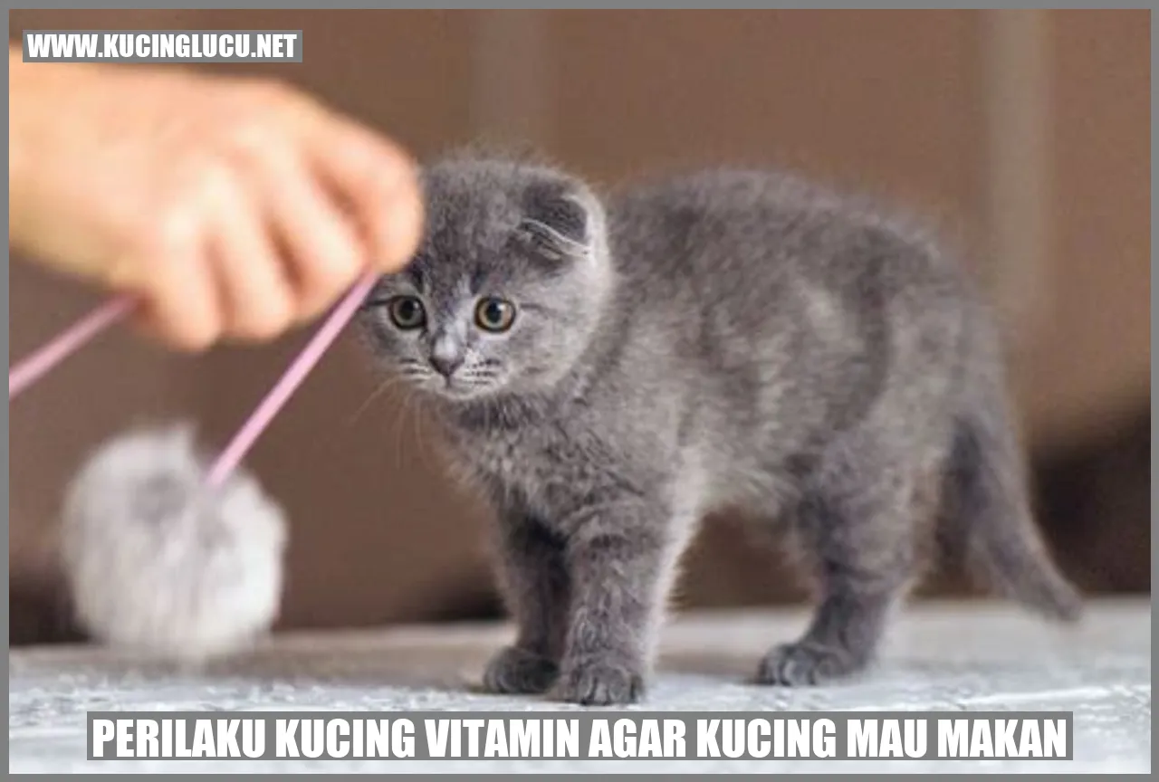 Perilaku Kucing dengan Vitamin