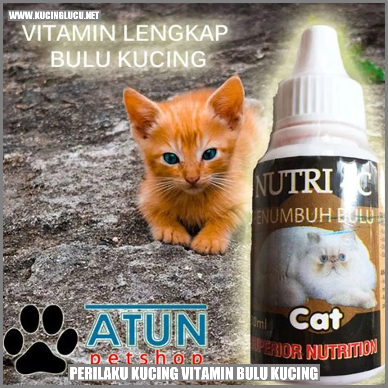 Perilaku kucing yang terkait dengan vitamin untuk kesehatan bulu kucing