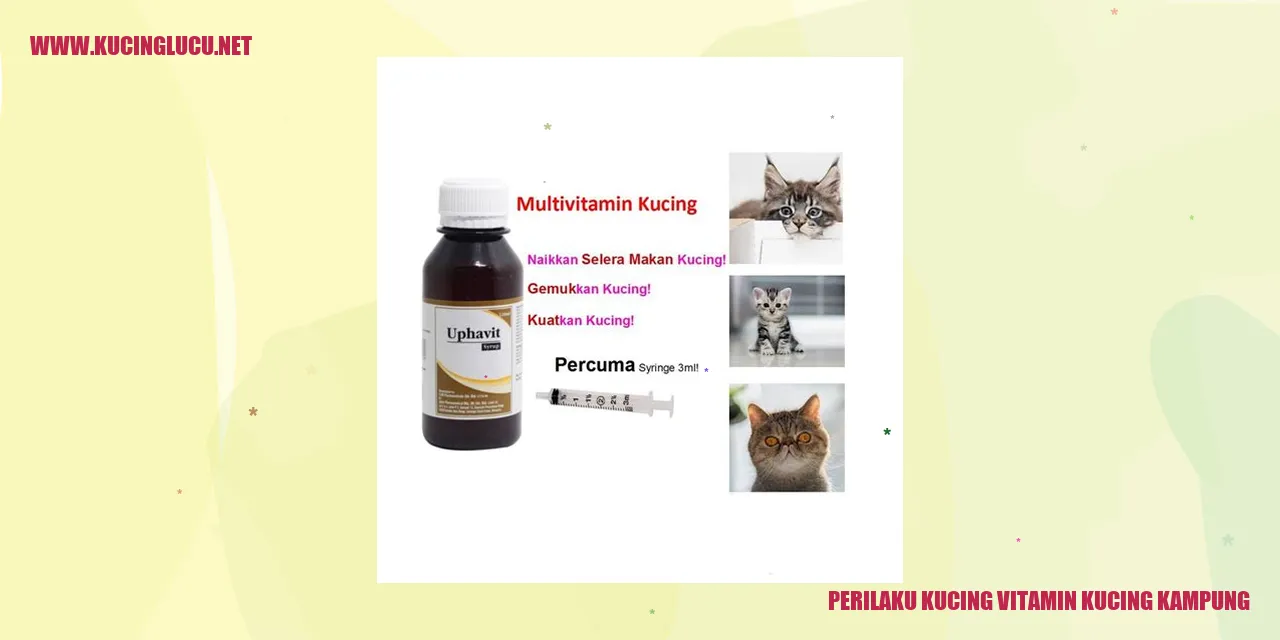Perilaku Kucing Kampung dan Kebutuhan Vitamin