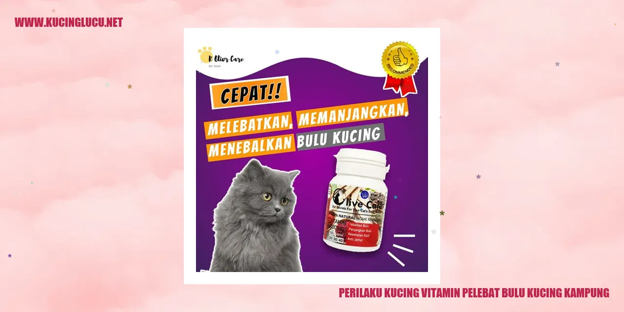 Kucing Kampung yang Menggemaskan