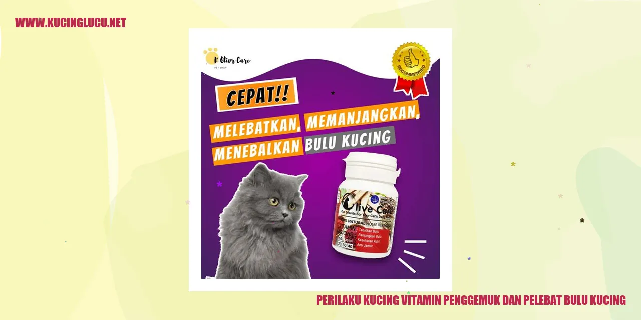 Gambar kucing yang sehat dengan bulu lebat dan sehat