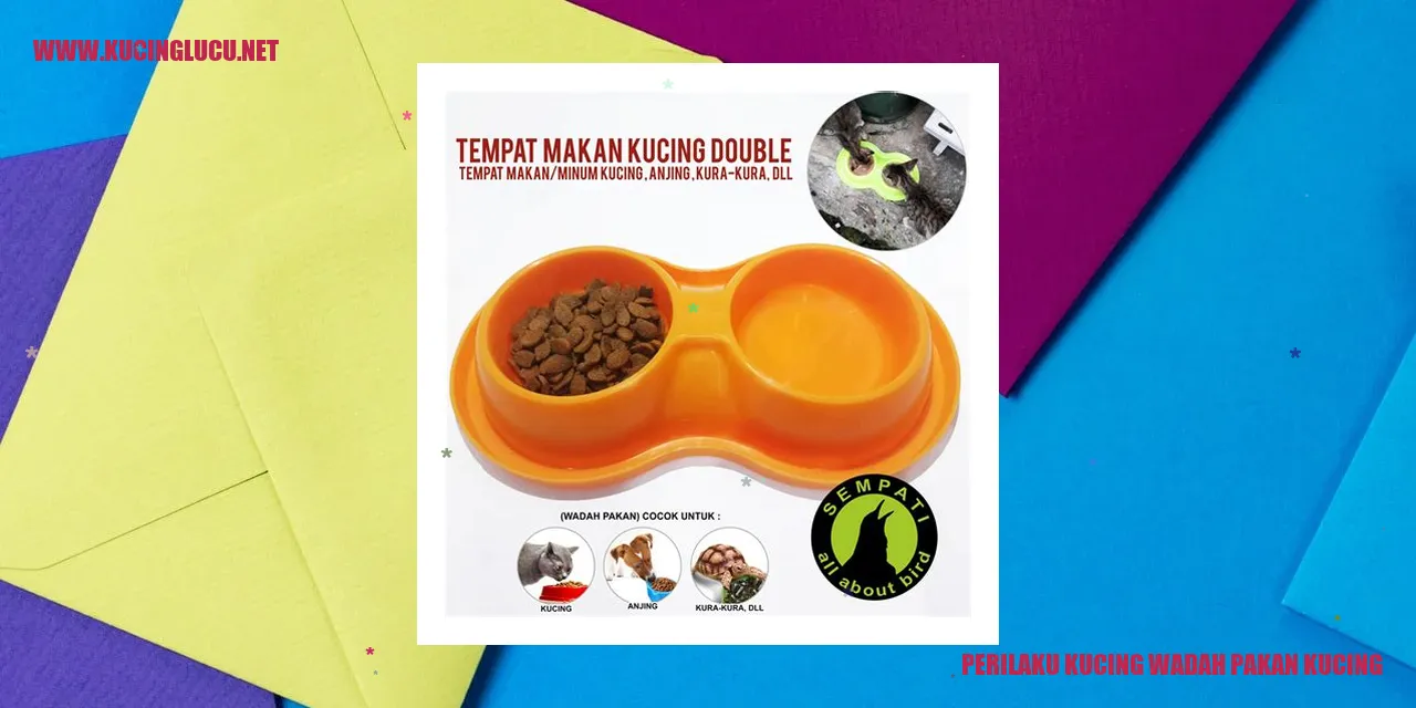 Gambar Kucing Menggunakan Wadah Pakan