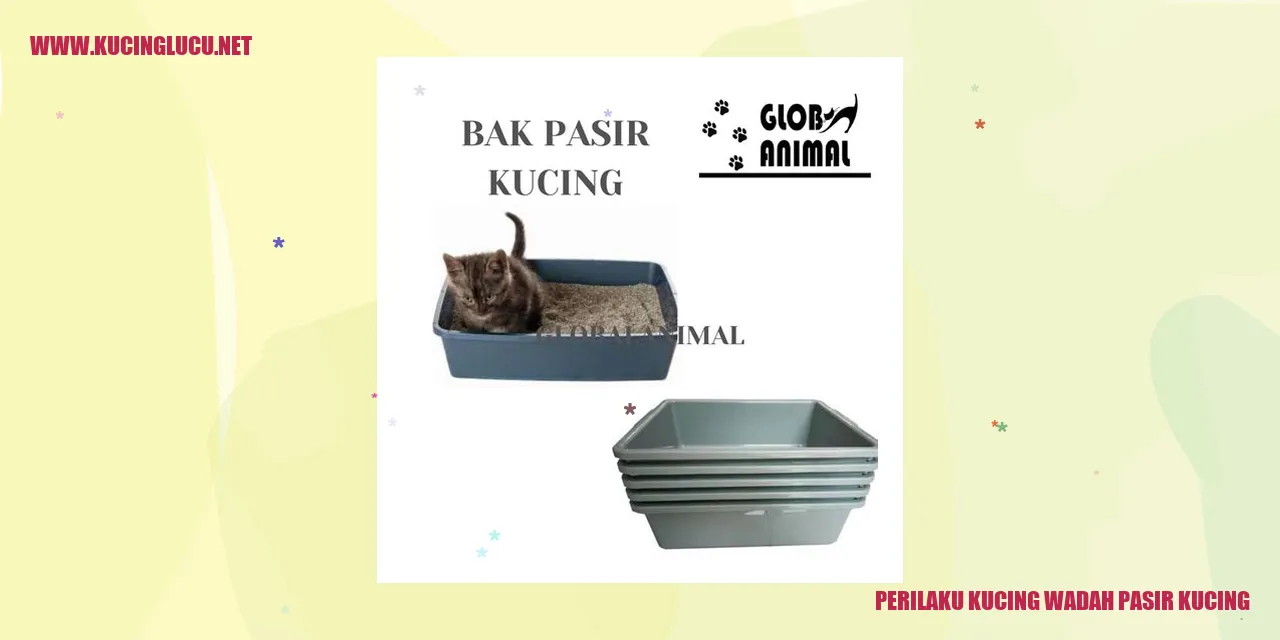 Perilaku Kucing dalam Menggunakan Wadah Pasir Kucing