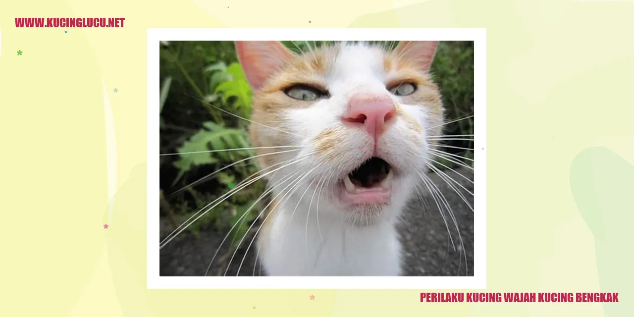 Kucing Berkemulan dengan Wajah Bengkak