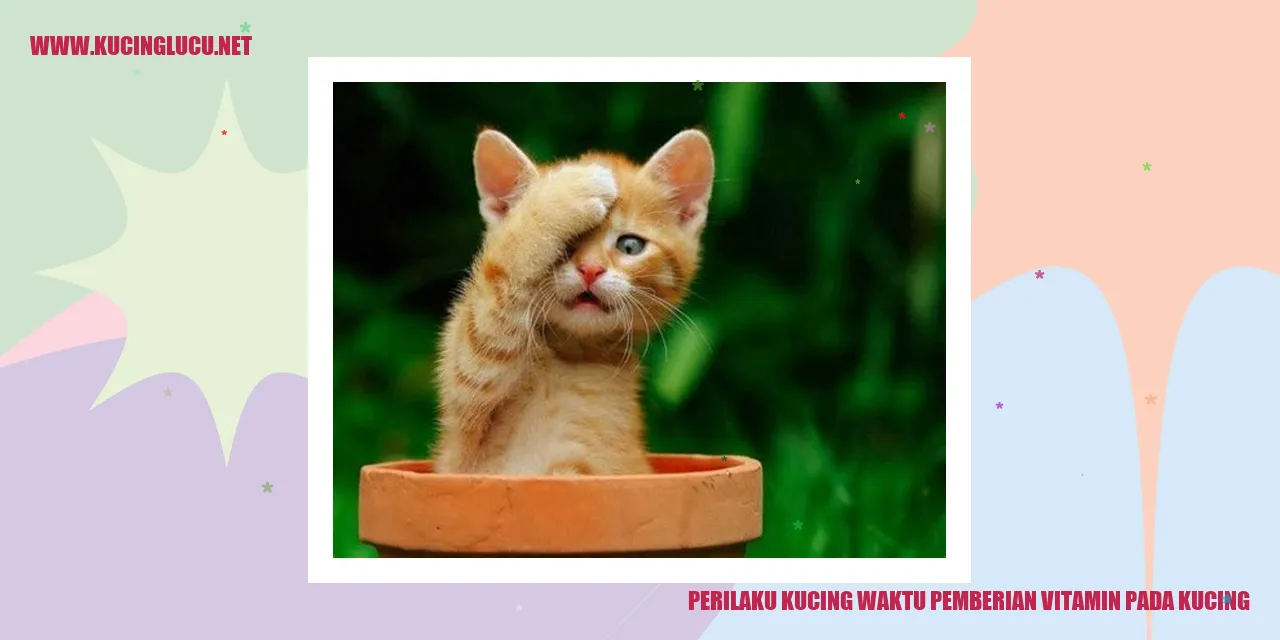 Perilaku Kucing Waktu Pemberian Vitamin pada Kucing