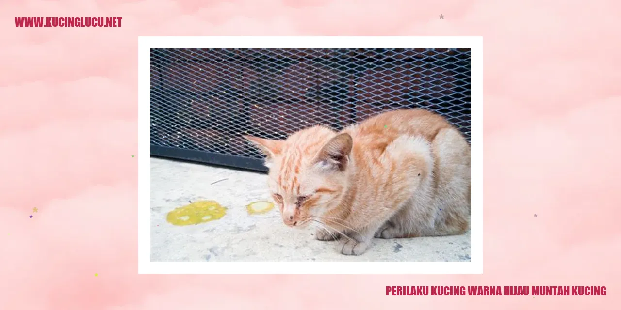 perilaku kucing warna hijau muntah kucing