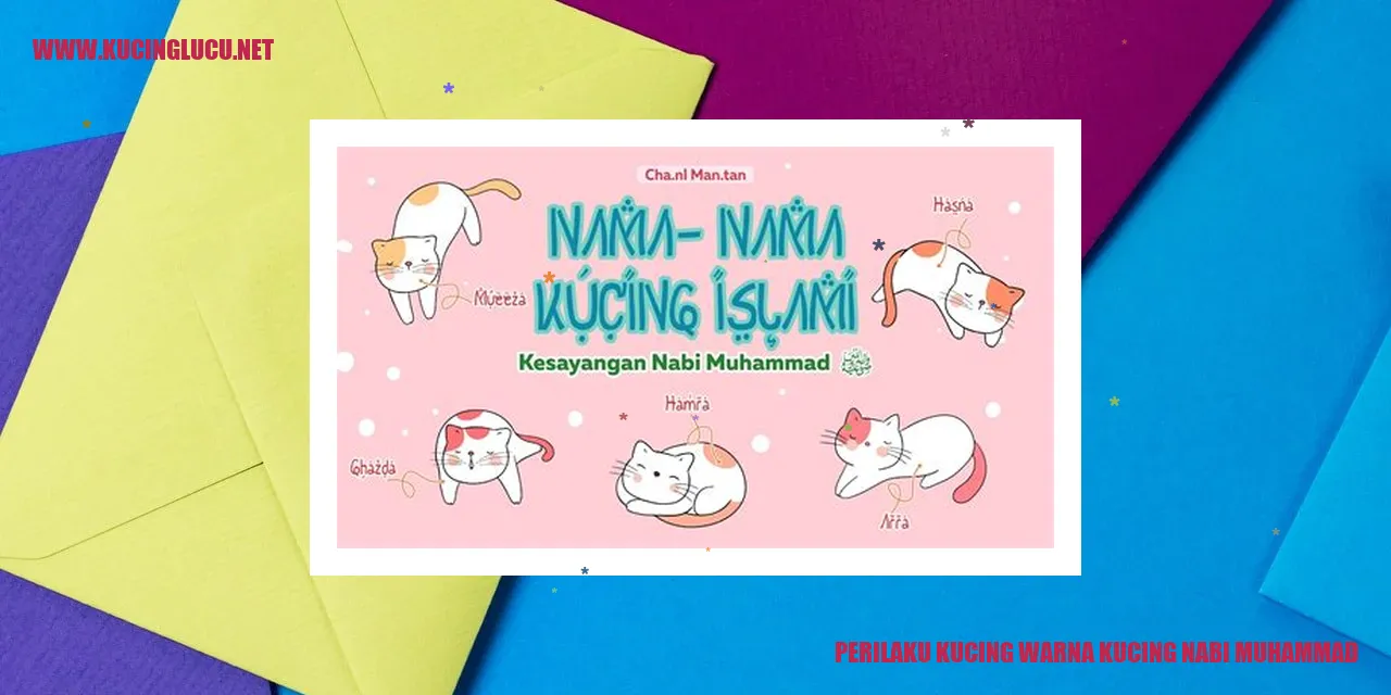 Kucing