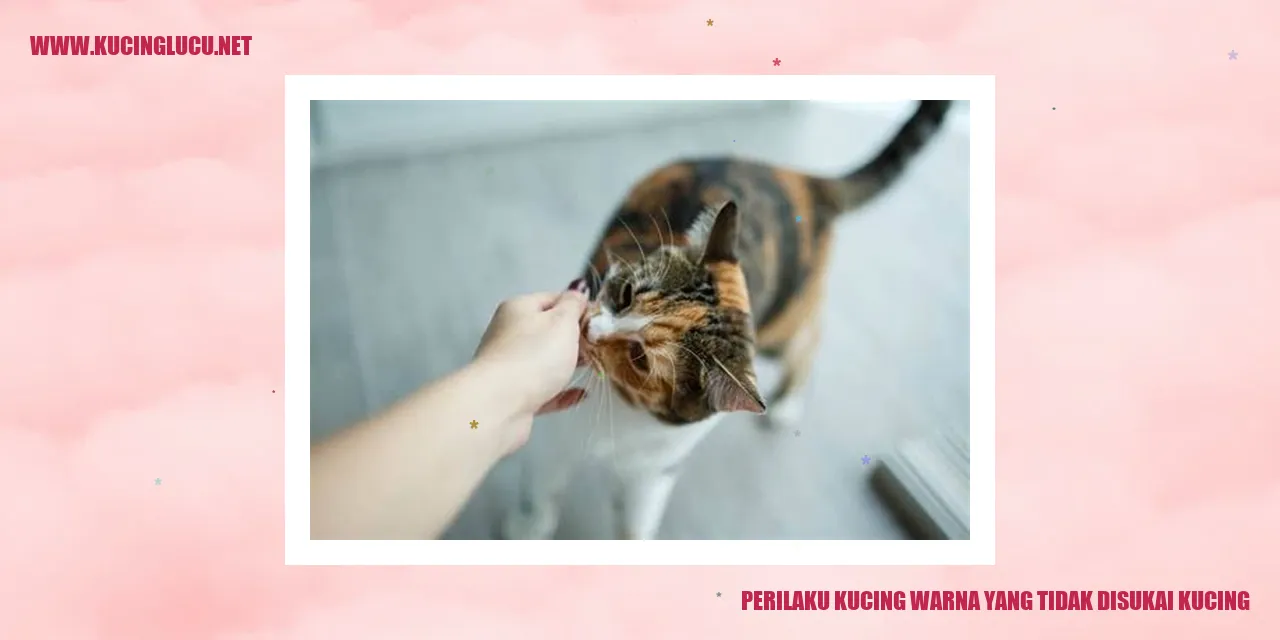 Kucing warna yang tidak disukai kucing