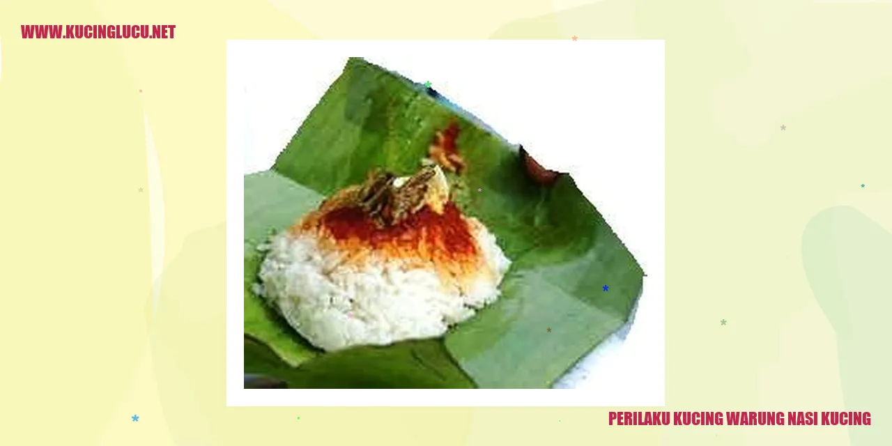 Kucing di warung nasi kucing