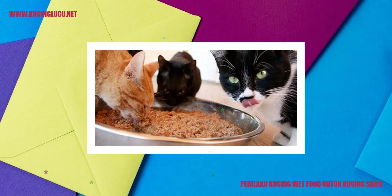 Perilaku Kucing wet food untuk kucing sakit