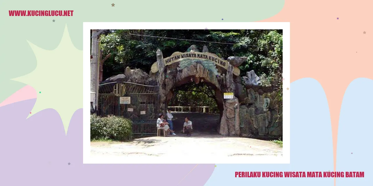 Kucing di Wisata Mata Kucing Batam