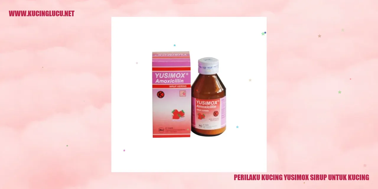 Perilaku Kucing Yusimox Sirup untuk Kucing