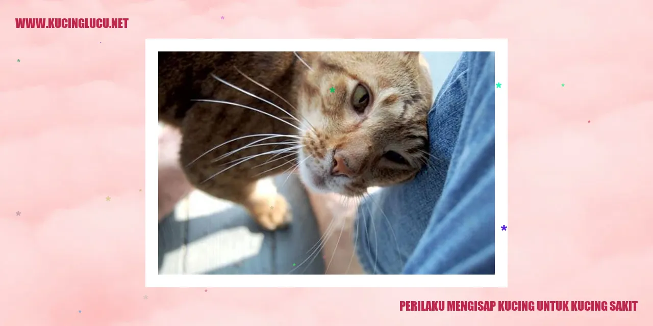 Kucing Mengisap untuk Kucing yang Menderita