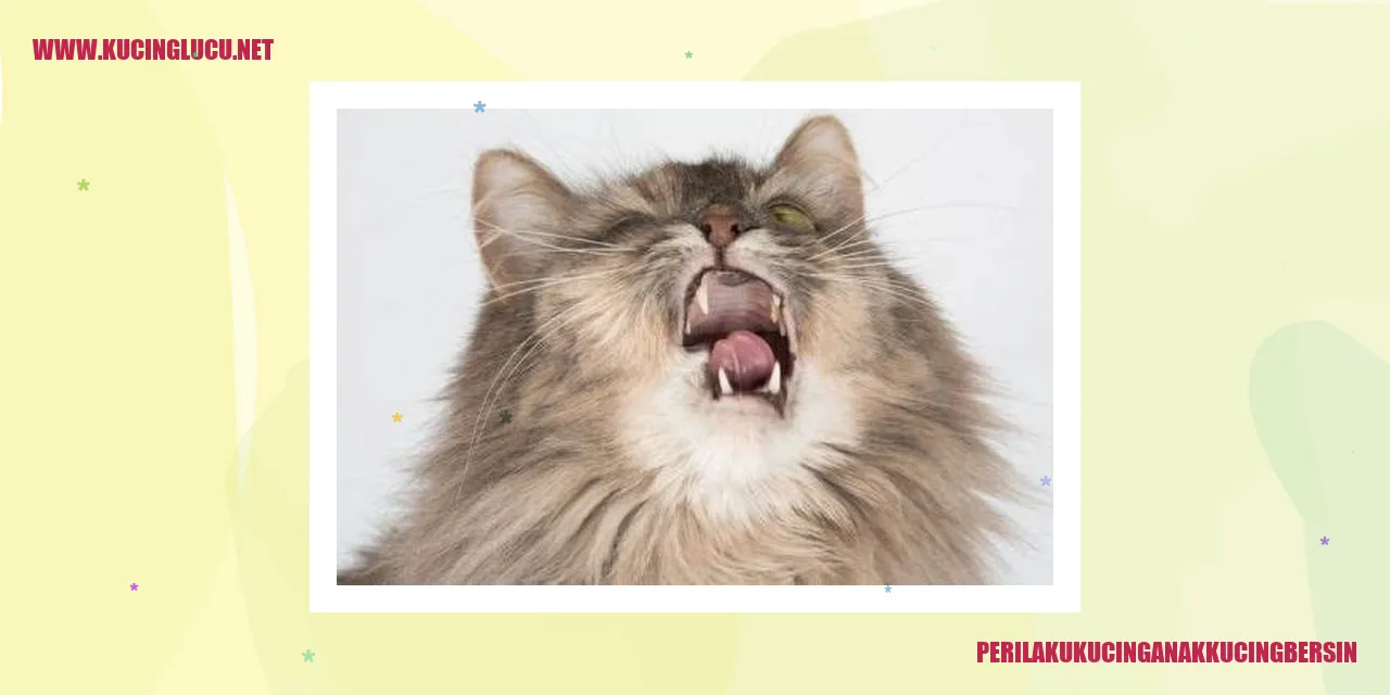 Anak Kucing Bersin