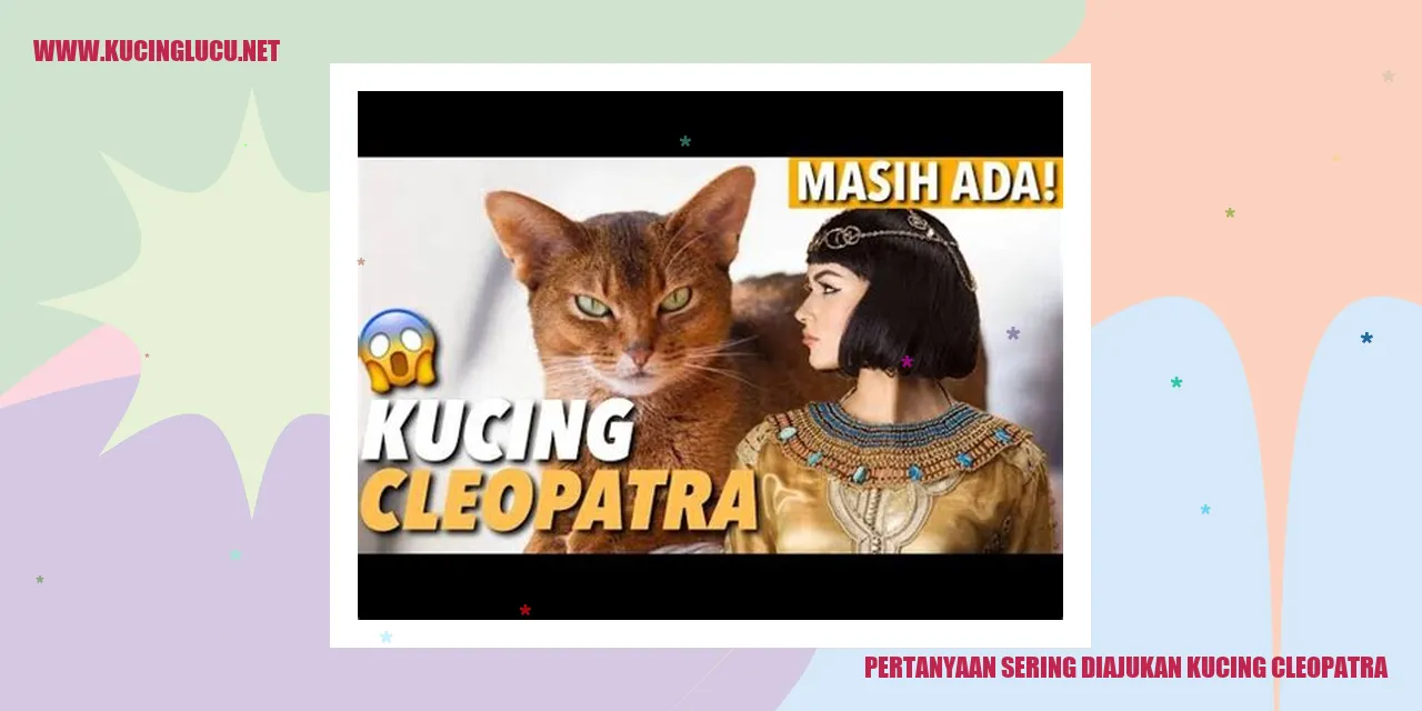 Gambar Kucing Cleopatra
