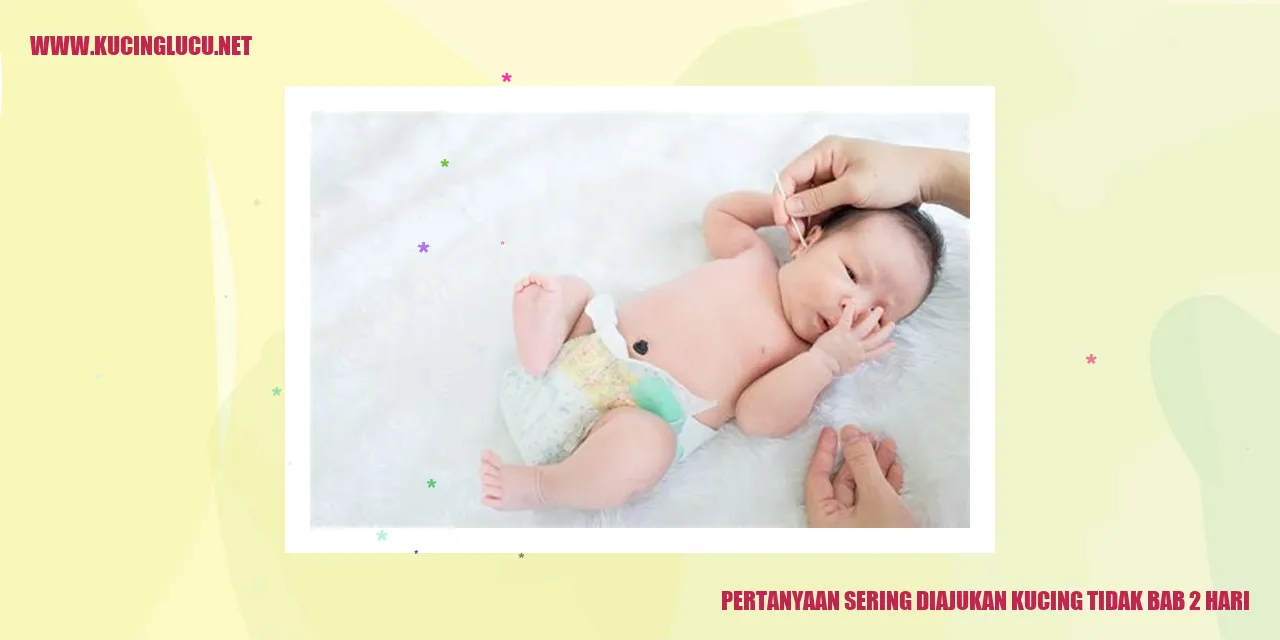 Kucing yang Tidak BAB 2 Hari