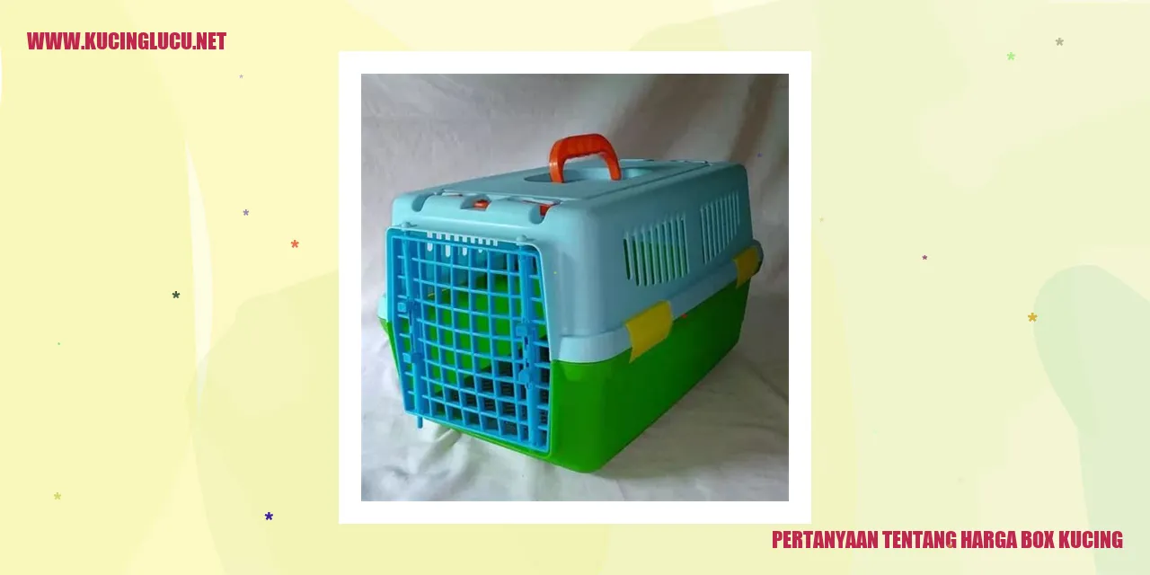 Harga Box Kucing