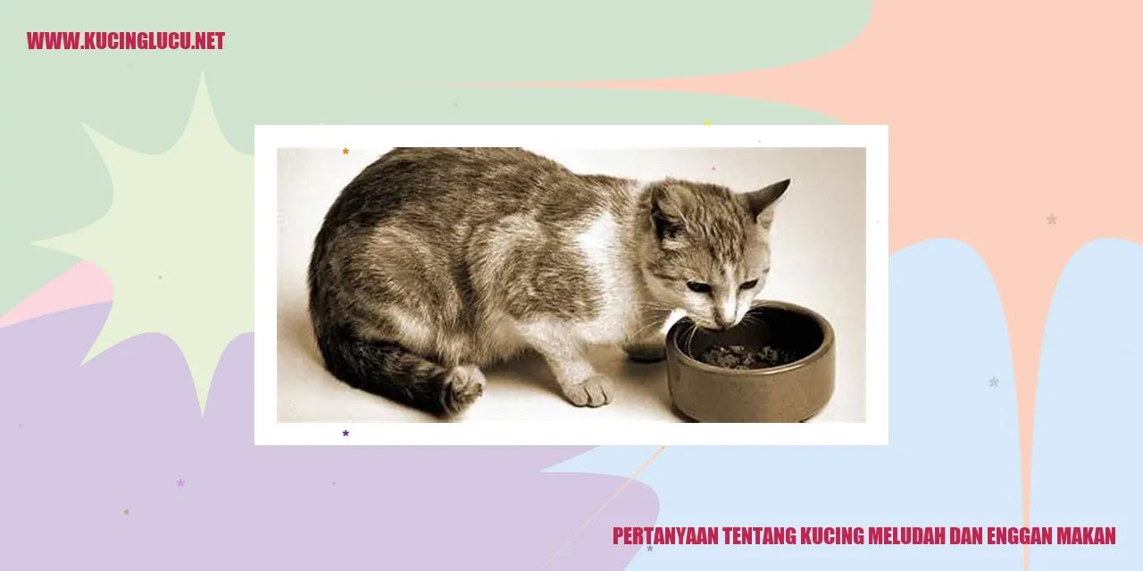Kucing Meludah dan Enggan Makan