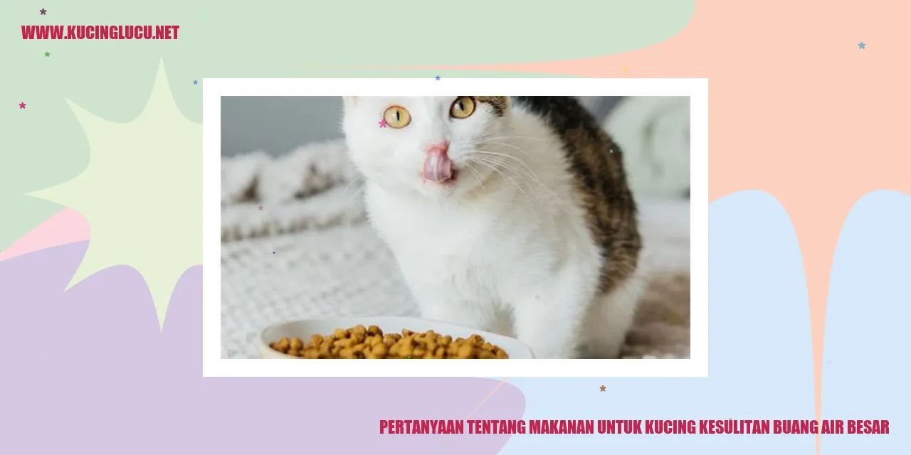 Pertanyaan yang Kerap Ditanyakan Mengenai Makanan untuk Kucing Kesulitan Buang Air Besar