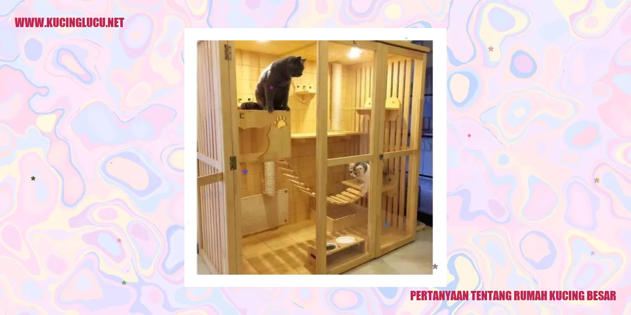 Rumah Kucing Besar