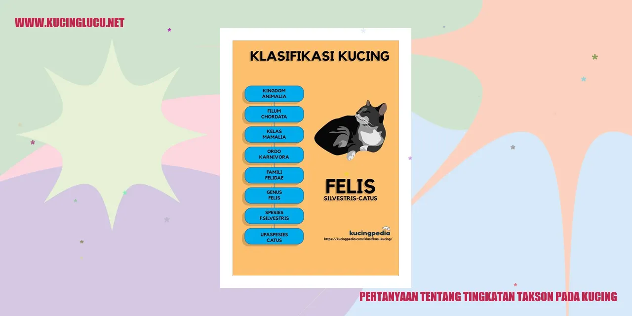 Gambar Kucing Jenis-Jenis