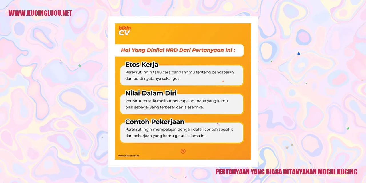 Gambar Mochi Kucing