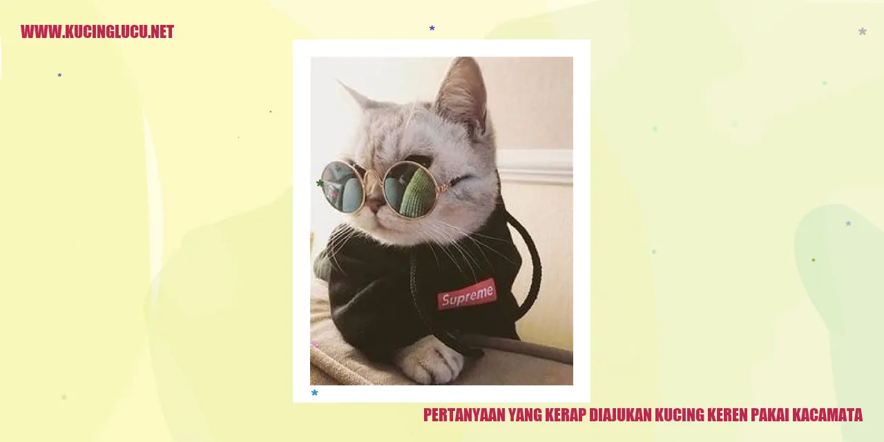 Kucing Keren Mengenakan Kacamata