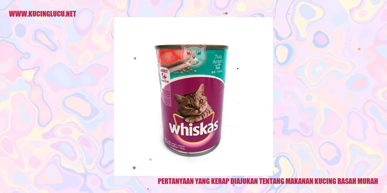 Pertanyaan yang Kerap Diajukan Mengenai Makanan Kucing Basah yang Terjangkau