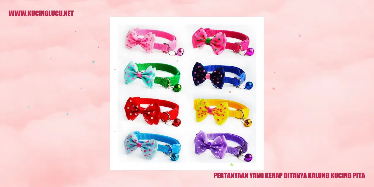 Gambar Kalung Kucing Pita