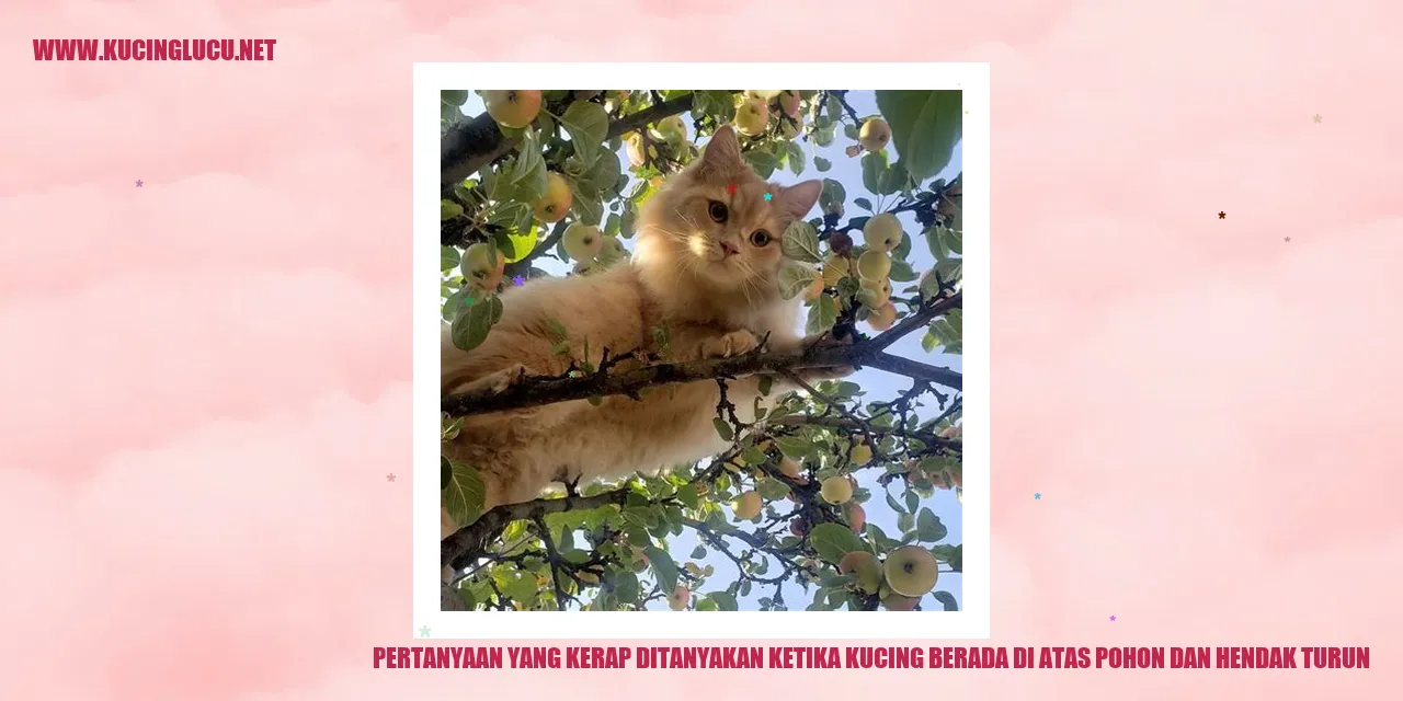 Gambar Kucing di Atas Pohon