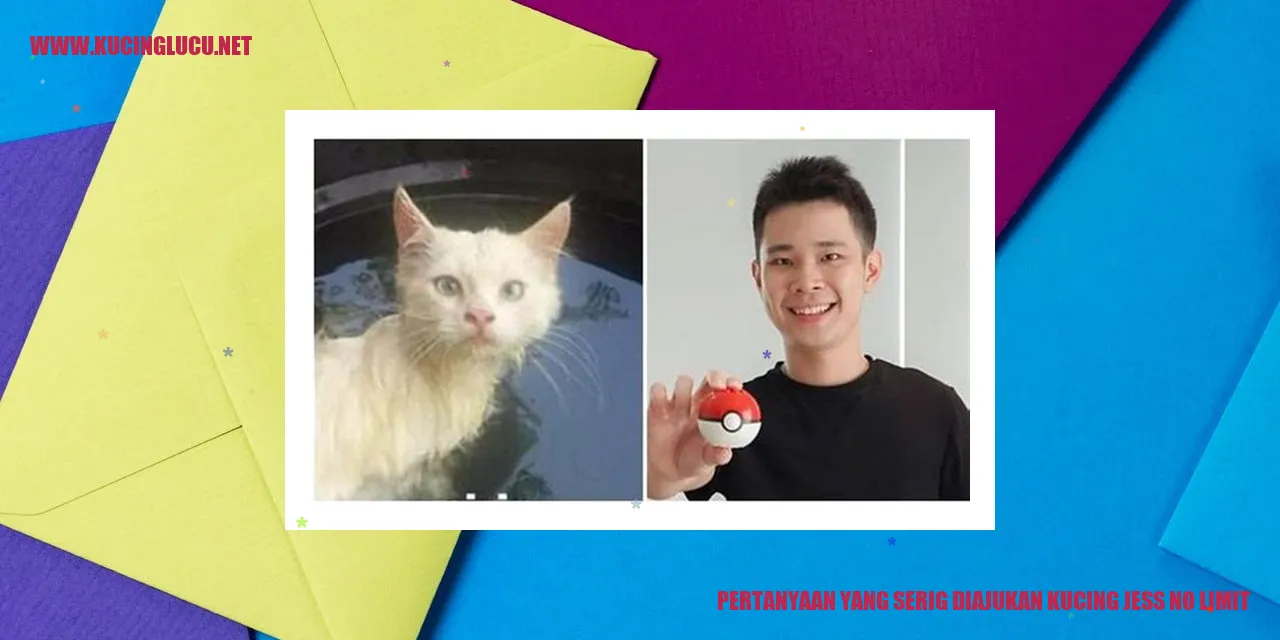 Pertanyaan yang Serig Diajukan Kucing Jess No Limit