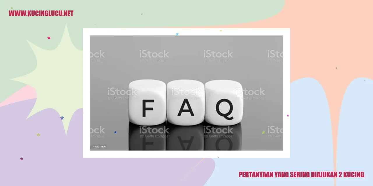 Gambar kucing yang sedang bermain
