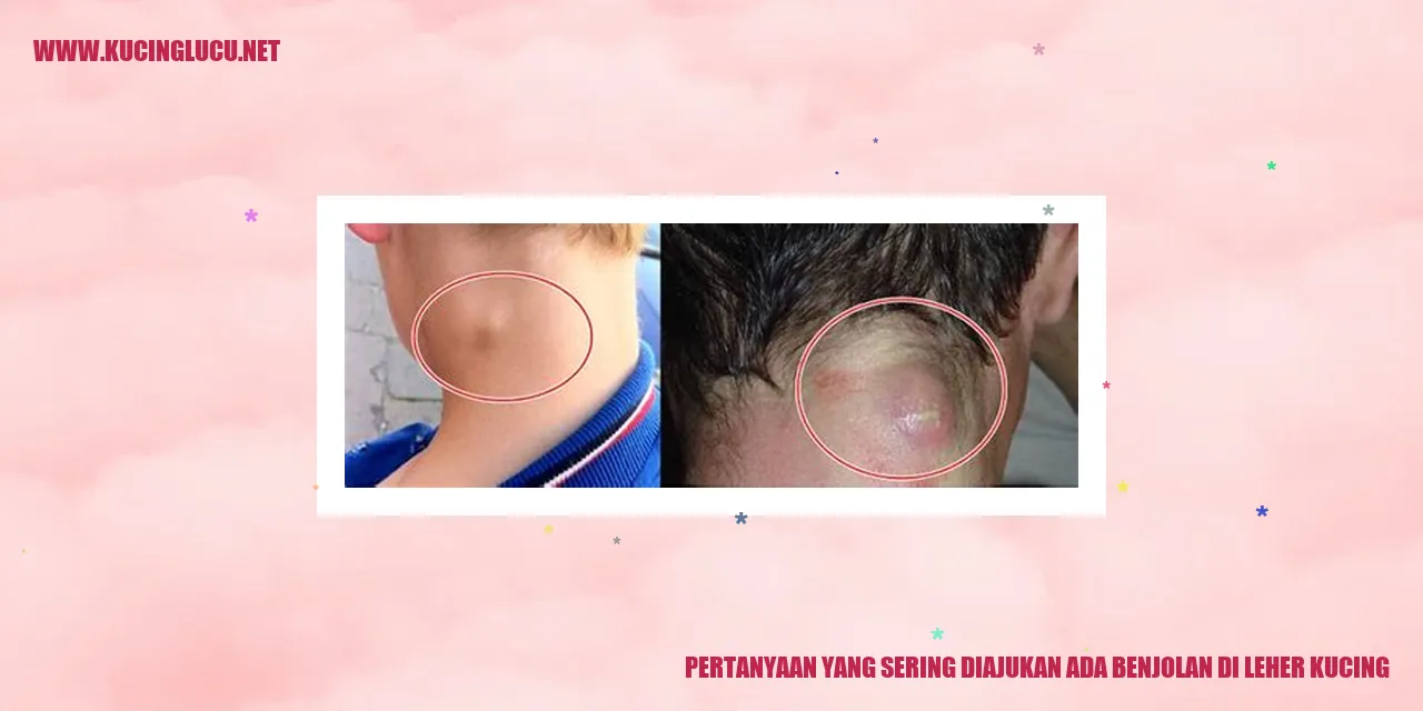 Benjolan di Leher Kucing