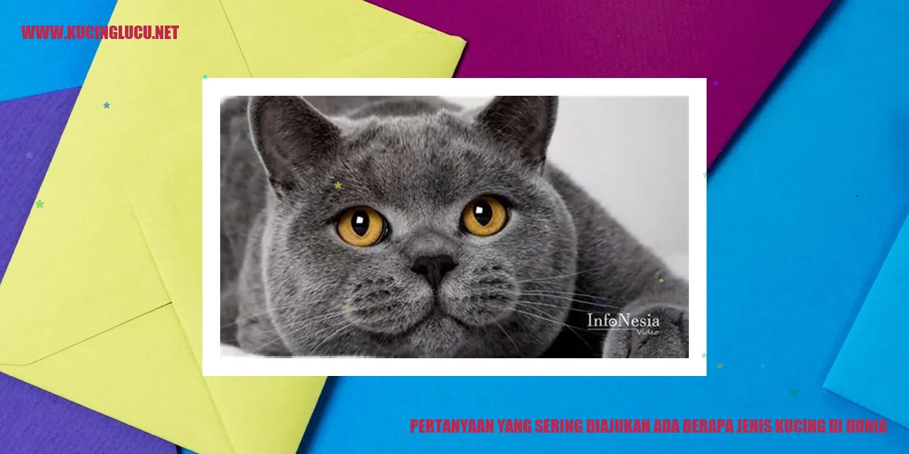 Jenis Kucing