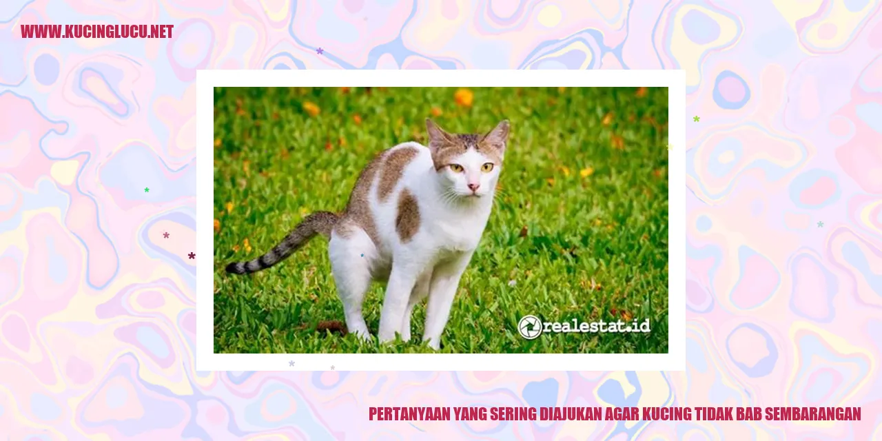Kucing yang menggunakan bak pasir