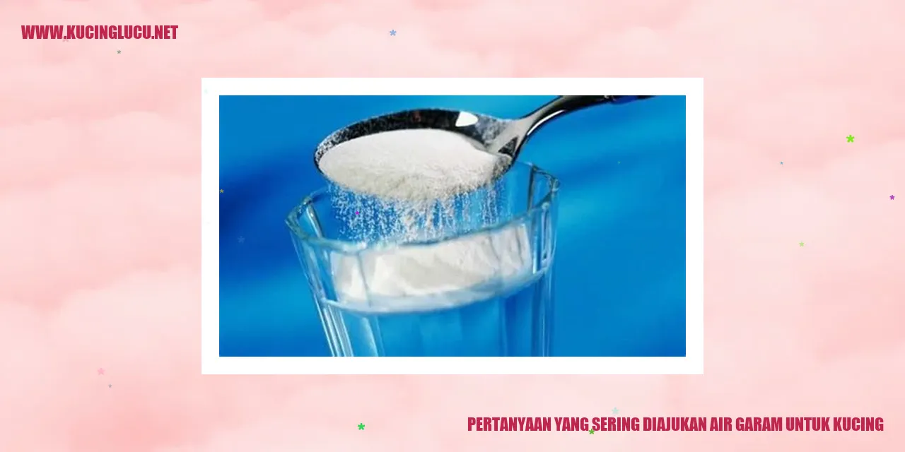 Gambar kucing