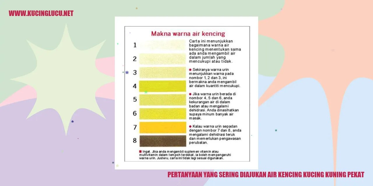 Air Kencing Kucing Kuning Pekat